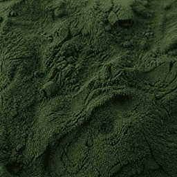 Alga Spirulina