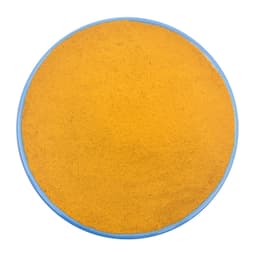 Curcuma in polvere di primissima qualità