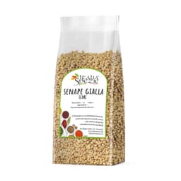 Senape Gialla in Semi