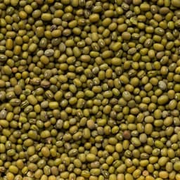 Fagioli Azuki Verdi - Soia verde