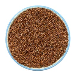 Quinoa Rossa