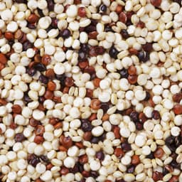 Quinoa Tricolore - Mix