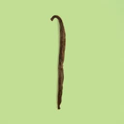 Baccelli di vaniglia - 12/18cm