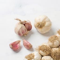 Aglio rosso Italiano | Treccia da 11-13 Teste