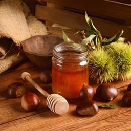 Miele di Castagno Italiano - Produzione artigianale - 300 g
