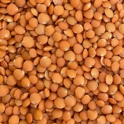 Lenticchie Rosse decorticate - Pacchetto 5 x 500 g