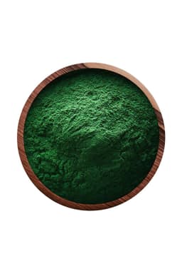 Alga Spirulina