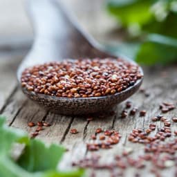 Quinoa Rossa