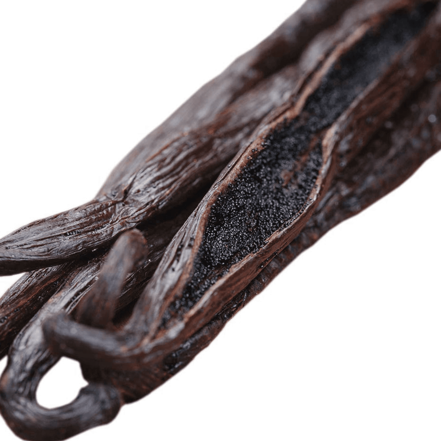 Vaniglia Bourbon del Madagascar - Grand Cru – Baccelli Gourmet Grade A - 18 cm